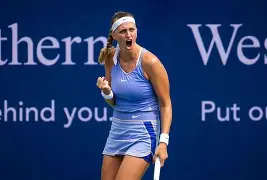 包含刚刚！科维托娃在瑞士队比赛中伤愈复出东契奇在独行侠比赛中爆冷，今夜斯图加特调整名单以备足总杯的词条